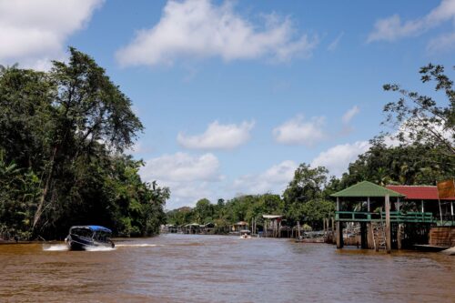 Quando a saúde chega pelo celular: lições do Baixo Amazonas para o Brasil