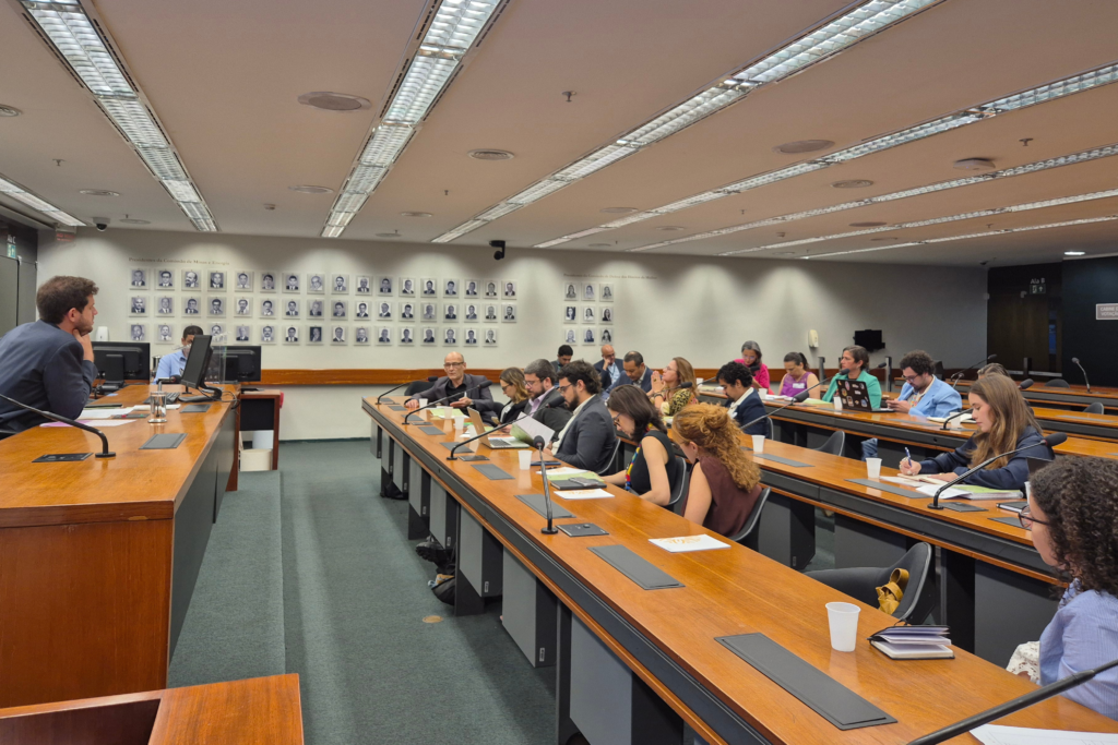 IEPS participa de reunião interministerial sobre regulamentação da Política Nacional de Saúde Mental nas Escolas